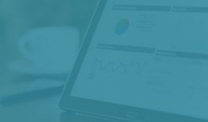 Travelyst Tour Operator Software offers managers of travel businesses with detailed report data